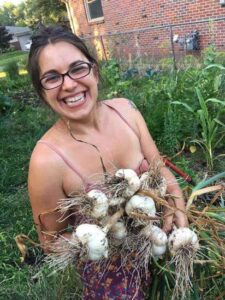 Giant Hardneck Garlic